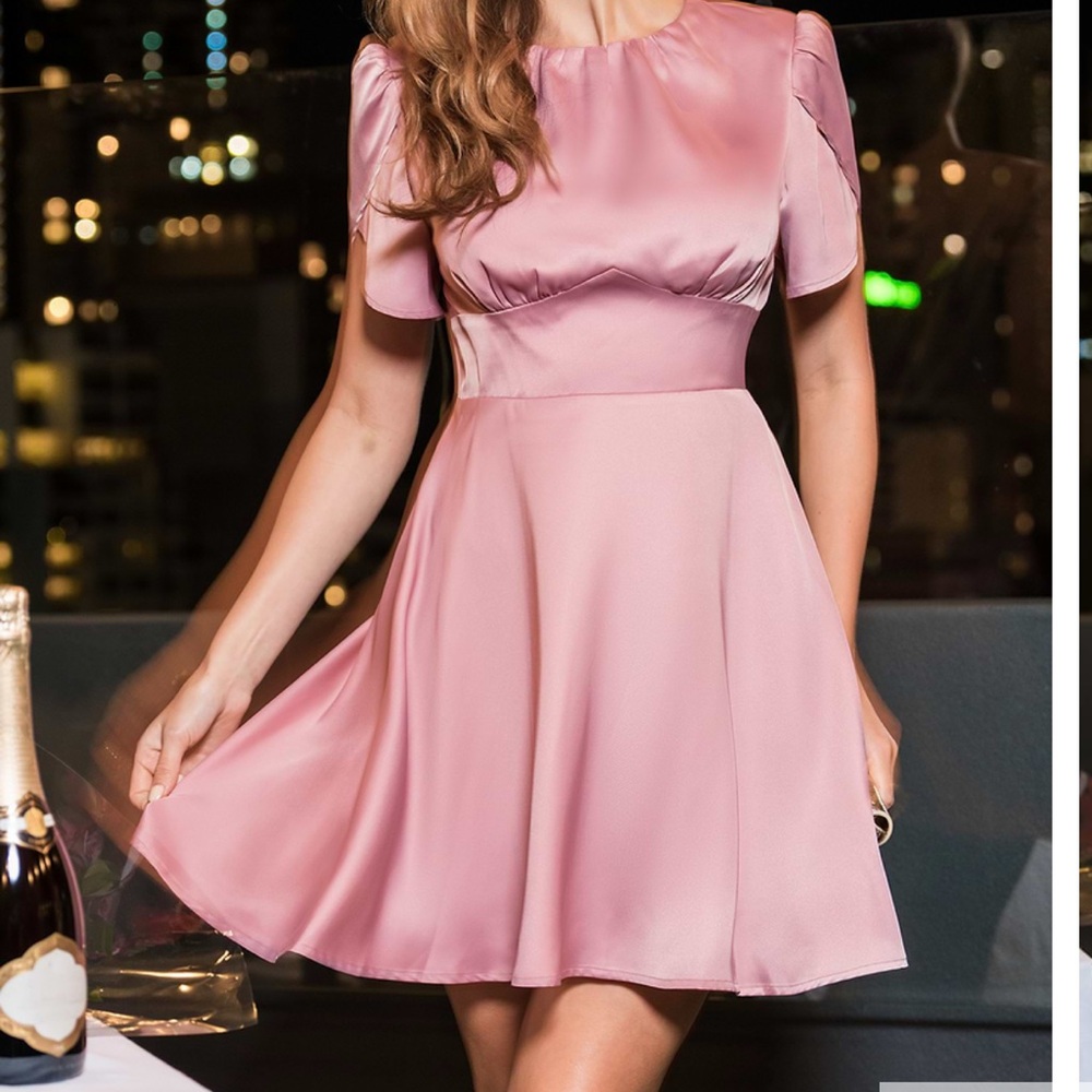 New With Tags Pink Round Neck Short Sleeve Satin Mini Dress